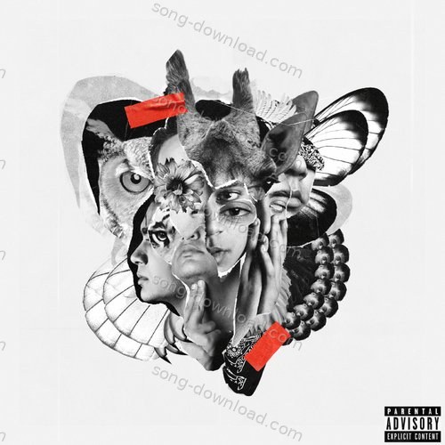 Kaan Kholke Panther MP3 Download